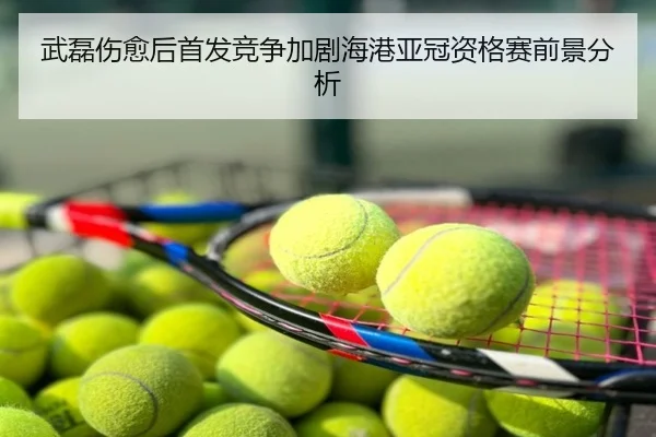 武磊伤愈后首发竞争加剧海港亚冠资格赛前景分析