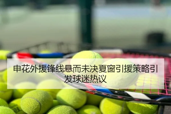 申花外援锋线悬而未决夏窗引援策略引发球迷热议