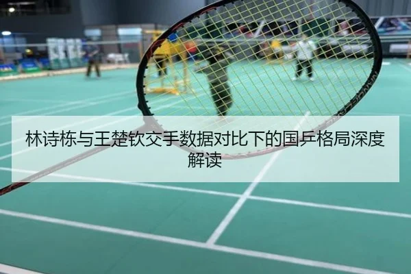 林诗栋与王楚钦交手数据对比下的国乒格局深度解读